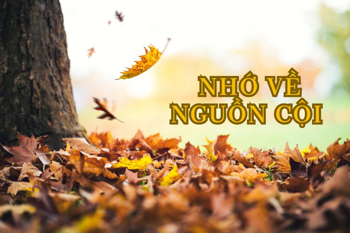 LE KHAI GIANG NAM HOC 2025 2026 HOC VIEN LIEN DONG THANH TOMA 1 1